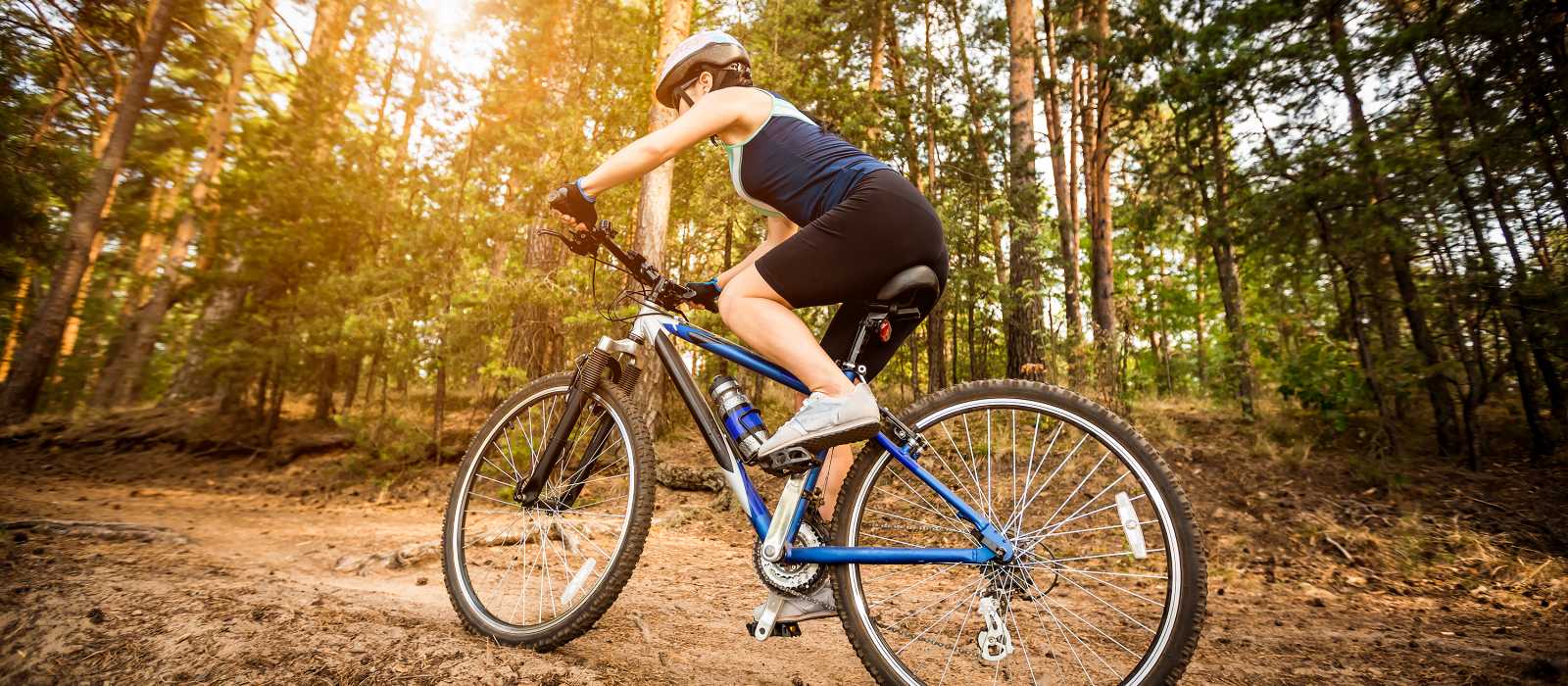 Collection of quality used bikes